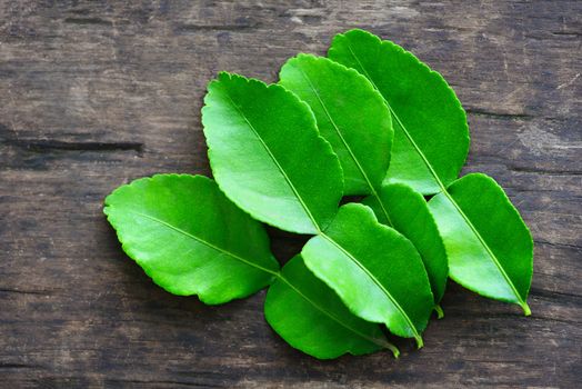 Kaffir lime leaves on wooden background from the tree / bergamot leaf 