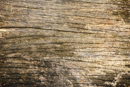 Wooden background Texture with / old rustic background , top view 