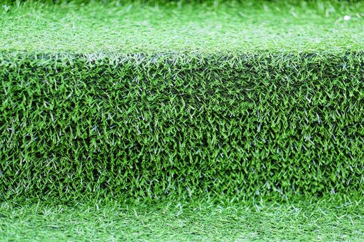 Stair covered with green grass