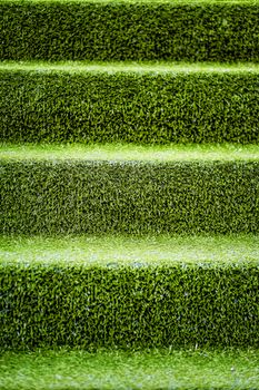 Stair covered with green grass