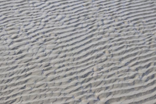 closeup of sand of a beach,sand beach texture