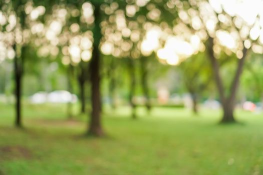 Blur nature bokeh green park by beach and tropical coconut trees in sunset time.