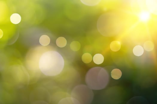 Green nature sunlight colorful bokeh abstract background .Vintage pastel color tone style.