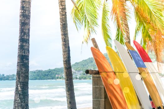 Many surfboards beside coconut trees at summer beach with sun light and blue sky background.