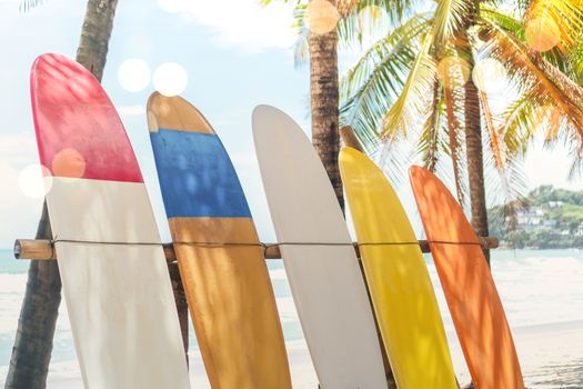 Many surfboards beside coconut trees at summer beach with sun light and blue sky background.