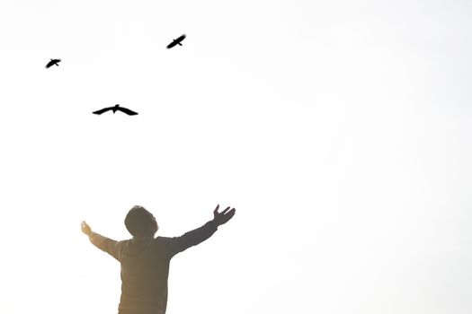 Man rise hands up to sky looking at birds fly through metaphor freedom concept with sunset sky black and white tone background.