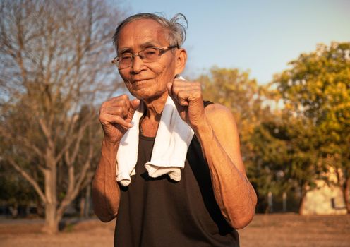Attractive senior sportive man in boxing stance to exercises in the park for good health. Healthcare concept.