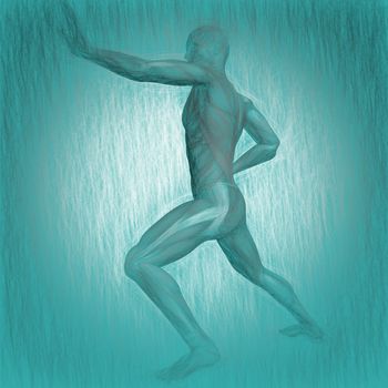 3d illustration of human body anatomy
