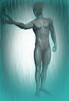  3d illustration of human body anatomy  

