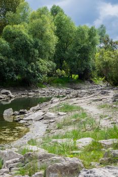 Landscape by the river against the backdrop of the forest on a summer day.