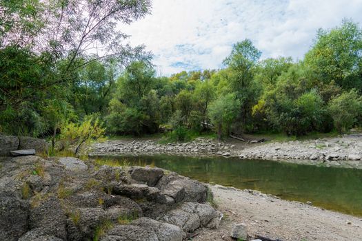 Landscape by the river against the backdrop of the forest on a summer day.