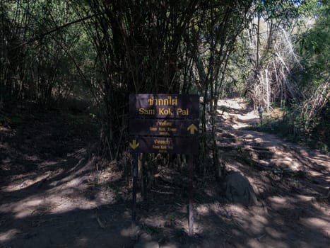 Loei, Thailand - 17 December 2017: Atmosphere of Phu Kradueng National Park.