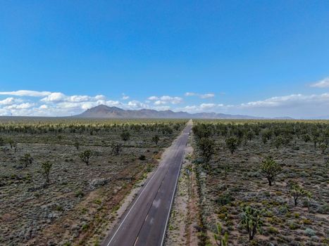 Aerial view of endless desert straight dusty asphalt road in Joshua Tree Park. USA. Long straight tarmac road heading into the desert to the direction of Arizona.