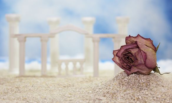 Dried Flower on Tropical Beach With Roman Style Ruins