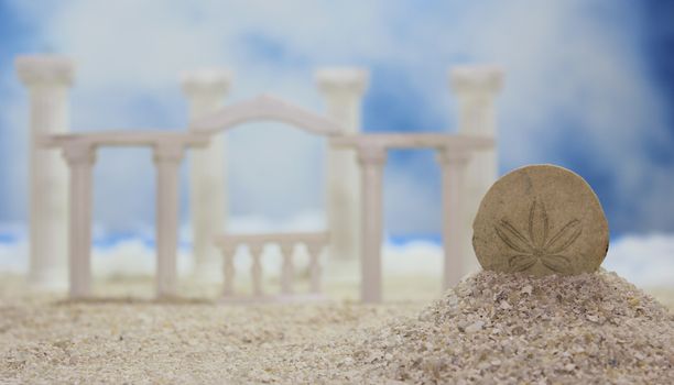 Seashell on Tropical Beach With Roman Style Ruins Sand Dollar