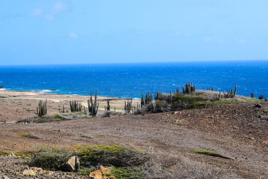 Arikok Natural Park on the island of Aruba in the Caribbean Sea with deserts and ocean waves on the rocky coast