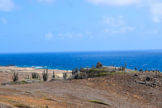 Arikok Natural Park on the island of Aruba in the Caribbean Sea with deserts and ocean waves on the rocky coast