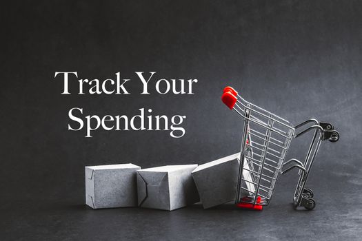 TRACK YOUR SPENDING text with shopping cart on dark background. Business, Copy space and online shopping concept. Selective focus