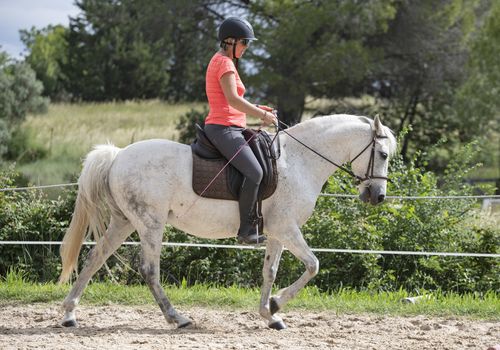  riding girl are training her horse in equestrian center