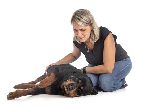 purebred rottweiler and woman in front of white background