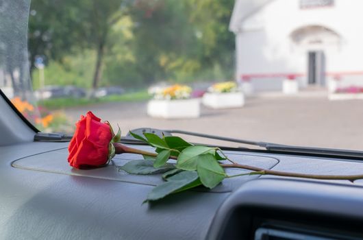 a red rose flower lies on the dashboard inside the car against the background of a city street and flower beds in the Park