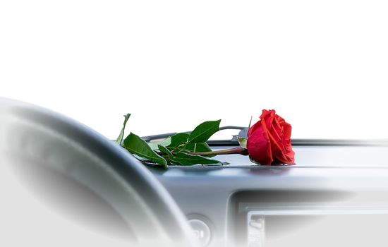 a red rose flower lies on the dashboard inside the car