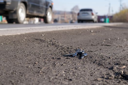 Lost bunch of keys lying on the side of the road near the asphalt pavement of the roadway