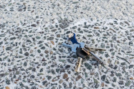 a bunch of keys lying on the asphalt road in winter in the snow