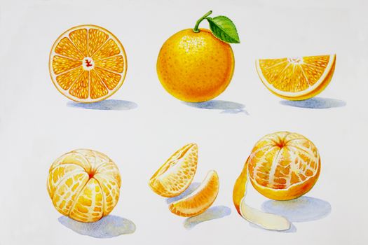 Painting summer orange collection, isolated. Original hand drawn watercolor paintings, illustration on white background with poster wallpaper for fun party, promotion banner and brochures flyers.