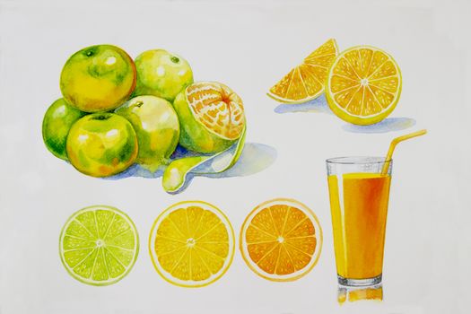 Painting summer orange collection, isolated. Original hand drawn watercolor paintings, illustration on white background with poster wallpaper for fun party, promotion banner and brochures flyers.