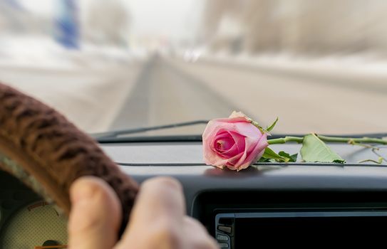 a red rose lies on the dashboard inside the car while the car is moving against the background of the steering wheel and the driver's hands