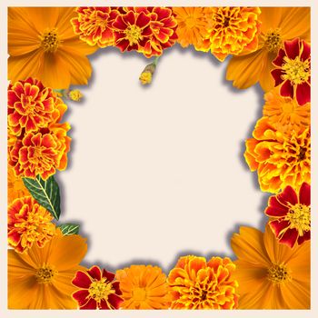 Beautiful floral frame with Various Yellow and orange color Flowers collection