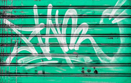 Closed shutter covered with graffiti and green background.