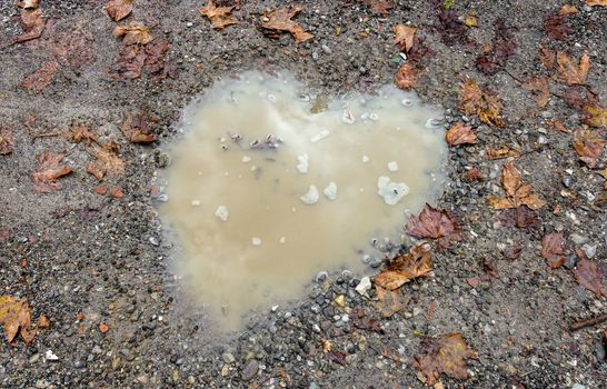 Heart puddle in the gravel at Valentine's Day