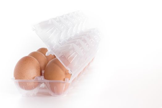 Container for eggs in clear plastic, isolated on a white background.
