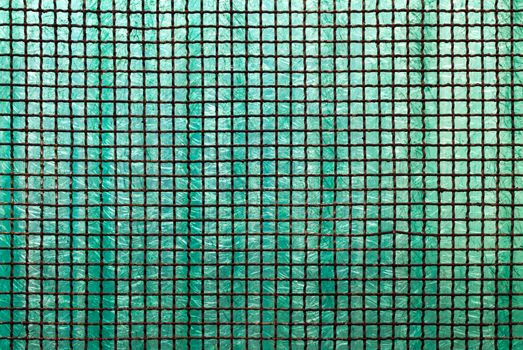 Frosted green glass, reinforced with an iron grid now rusty.