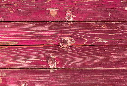 Painted old wooden wall. Pink and fuchsia background.