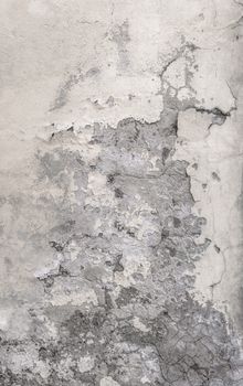 Old wall with white paint peeling off and mold. It can be used as background and texture.