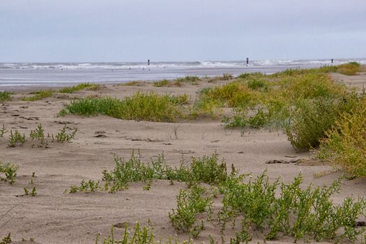 View of a solitary beach with grass