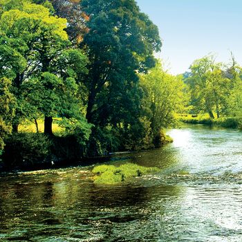 Both Panoramic and some more detailed images of beautiful country scenes.