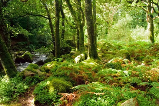 Both Panoramic and some more detailed images of beautiful country scenes.