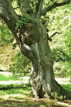 Both Panoramic and some more detailed images of beautiful country scenes.