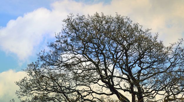 Both Panoramic and some more detailed images of beautiful country scenes.