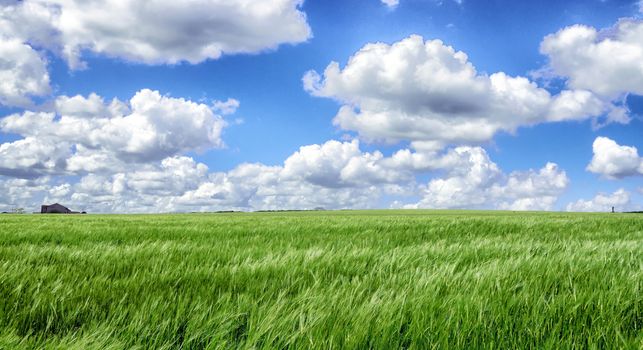 Both Panoramic and some more detailed images of beautiful country scenes.