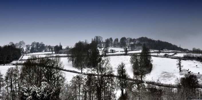 Both Panoramic and some more detailed images of beautiful country scenes.