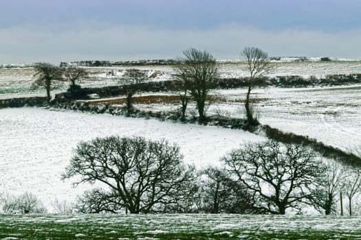 Both Panoramic and some more detailed images of beautiful country scenes.