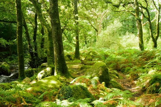 Both Panoramic and some more detailed images of beautiful country scenes.