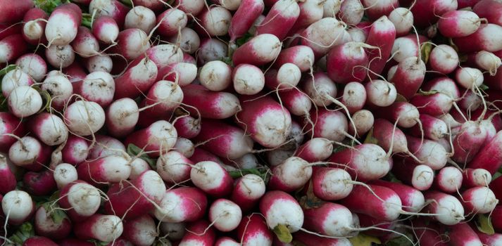 Radishes on a Market Stall