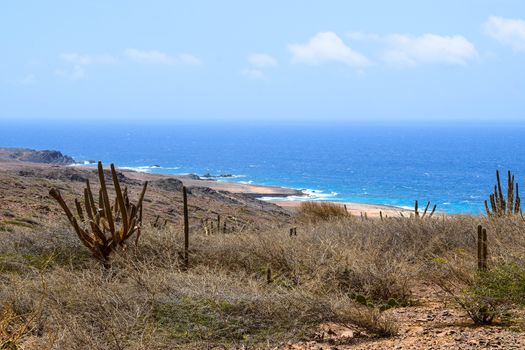 Arikok Natural Park on the island of Aruba in the Caribbean Sea with deserts and ocean waves on the rocky coast