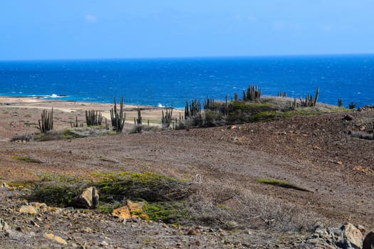 Arikok Natural Park on the island of Aruba in the Caribbean Sea with deserts and ocean waves on the rocky coast